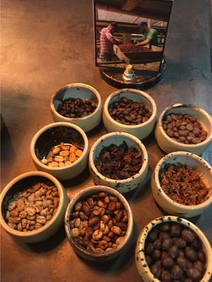 Locally grown coffee - Maybe the best in all of Colombia at Desarrolladores de Cafe in Medellin