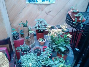 Jardín   at Capra in San Jose