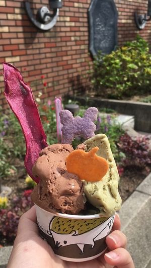 Hazelnut and pistachio 🤤 at Riccio d'Oro in Kobe