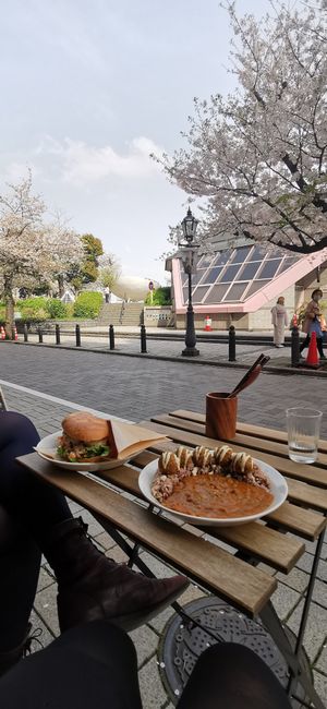 The view was perfect for Sakura season at Marugoto Vegan Dining Asakusa in Tokyo