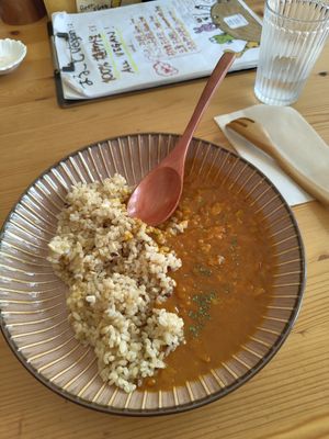 The small portion of the curry. at Marugoto Vegan Dining Asakusa in Tokyo