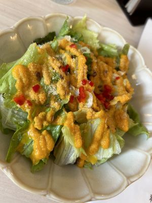 Lunch plate saladd  at Marugoto Vegan Dining Asakusa in Tokyo