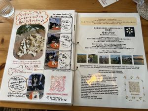   at Marugoto Vegan Dining Asakusa in Tokyo