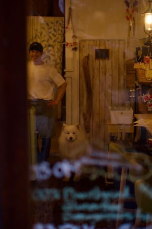   at Marugoto Vegan Dining Asakusa in Tokyo