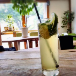 virgin mojito ノンアルコールモヒート at Marugoto Vegan Dining Asakusa in Tokyo