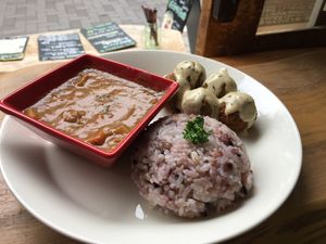 Lunch plate with falafel, mini curry, and a side of rice. Sans the tempura, which came separately.  at Marugoto Vegan Dining Asakusa in Tokyo