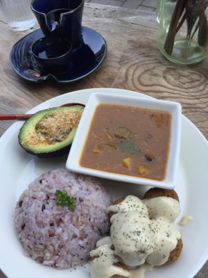 Avocado with mushrooms, falafel, curry, rice.  at Marugoto Vegan Dining Asakusa in Tokyo
