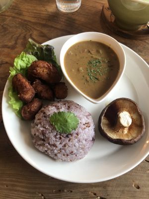 My combination plate ; fried soy meat, curry, japanese shiitake mushroom “steak” and rice 🍚🤤 at Marugoto Vegan Dining Asakusa in Tokyo