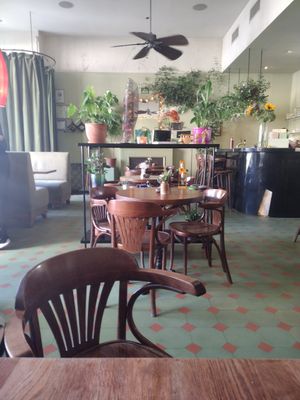  at Cafe Botanika in St Petersburg