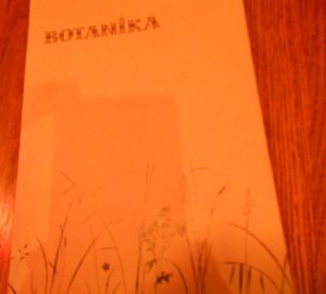 menu at Cafe Botanika in St Petersburg