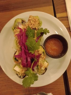 Spring rolls at Kapunka Vegan in Paris