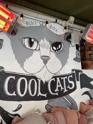  at Cool Cats in Chamonix-mont-blanc