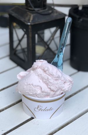 Raspberry Sorbet 🍧 at Hoorays Gelato Kitchen in Stratford-upon-avon