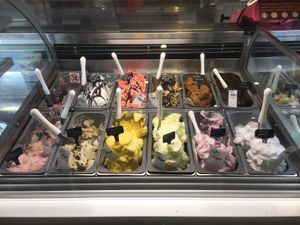 12 vegan flavours, in a separate cabinet to the dairy options at Hoorays Gelato Kitchen in Stratford-upon-avon