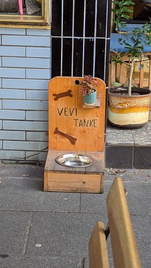  at vevi Café - vegan specialities in Cologne