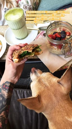 enjoy life. at vevi Café - vegan specialities in Cologne