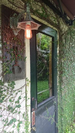 Cute little bakery apportioned by vegetation. at Ploughman's Lunch Bakery in Okinawa
