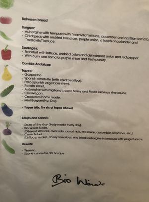 Menu in English at BioWinds in Fuengirola