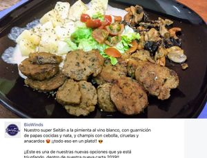 Seitan with cream sauce and garnished potatoes , mushrooms... at BioWinds in Fuengirola