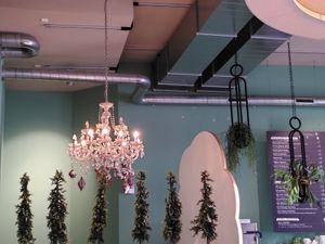 Das Café vom Eingang aus at Flayva Coffee & Tea Lounge in Dortmund