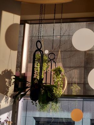 Grüne Atmosphäre at Flayva Coffee & Tea Lounge in Dortmund