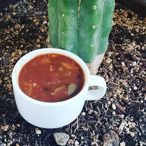 Vegan Chili Mole' at TonTon's Artisan Affections in Talent