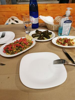 Tabouleh salad and dolmadakia and vegetables. at Noah's Ark in Kos