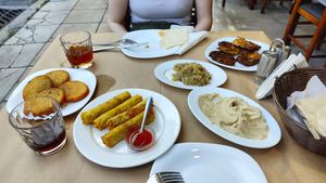 From left to right
The potato pies, springrolls, zucchini salad, hummus, zucchini pies and the flatbread at Noah's Ark in Kos