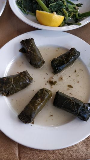 Wine leafes and seasonal greenes at Noah's Ark in Kos