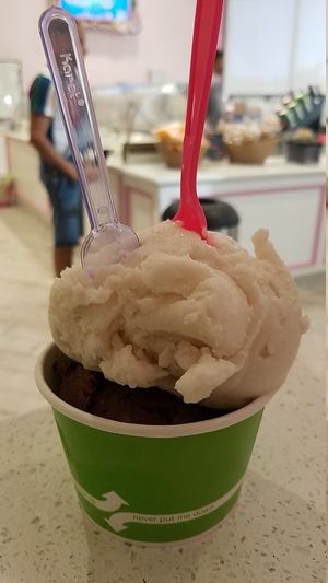 Vegan ice cream at EddieWorld in Yermo