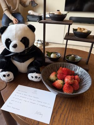 Complementary vegan sweets sent from the tea house to our room  at Mi Xun TeaHouse 谧寻茶室 in Chengdu