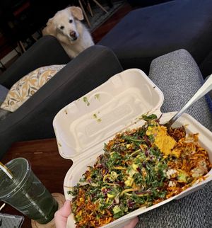 Hefty serving of healthy food— dog approved   at Leahi Health - Aina Haina in Honolulu