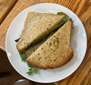 Jaguar sandwich at Alley Cat Cafe in Ithaca