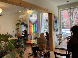 Inside at Alley Cat Cafe in Ithaca