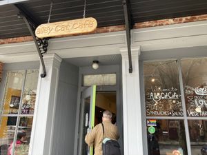 Entrance at Alley Cat Cafe in Ithaca