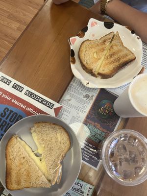   at Alley Cat Cafe in Ithaca