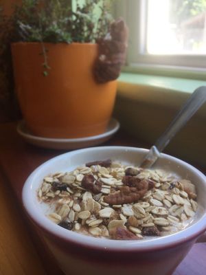 Delicious organic yogurt with house made mew-sli.   at Alley Cat Cafe in Ithaca