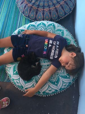 Sophia is in love at Alley Cat Cafe in Ithaca