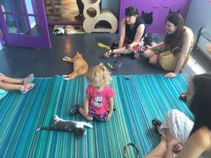 Enjoyment all around! at Alley Cat Cafe in Ithaca