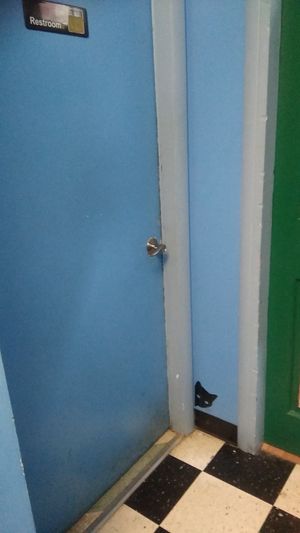 😻 at Alley Cat Cafe in Ithaca