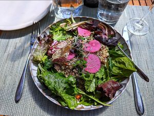 Warm grain salad at Catch in New York City