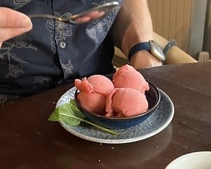 Sorbet  at The Old Farmhouse in Darlington
