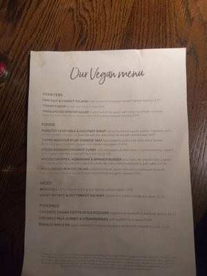 Vegan menu at The Badger in Newcastle Upon Tyne