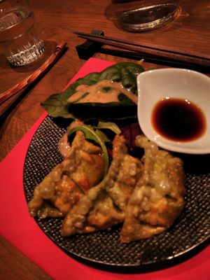 Vegan raviolis at Ryukishin - Richelieu in Paris