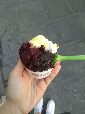 More di gelso, fondente 100%, vegan Maracuja at Fruit & Ice Cream Factory in Genoa
