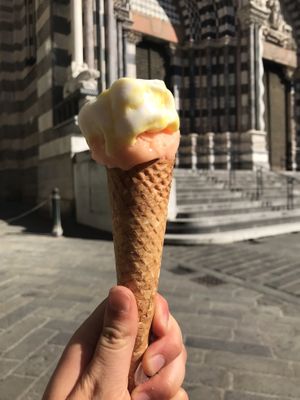 Lemon and melon at Fruit & Ice Cream Factory in Genoa