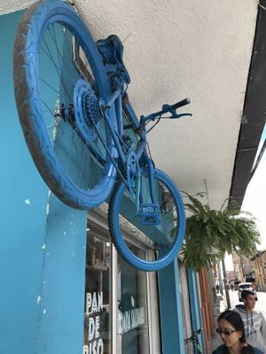 Look for the blue bike at Allullas Vegetariano - La Aurora in Pasto