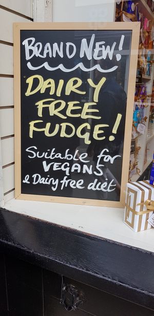 Vegan fudge board at Roly's Fudge Pantry in Looe