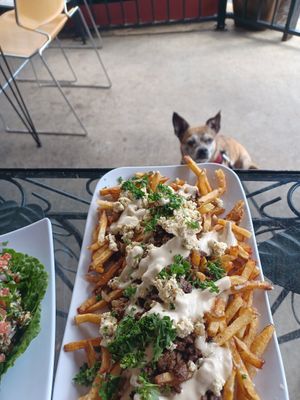  at Gypsy Queen in Asheville