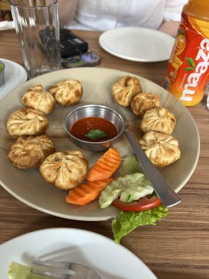 Fried veggie momos  at Lamayuru Restaurant in Leh